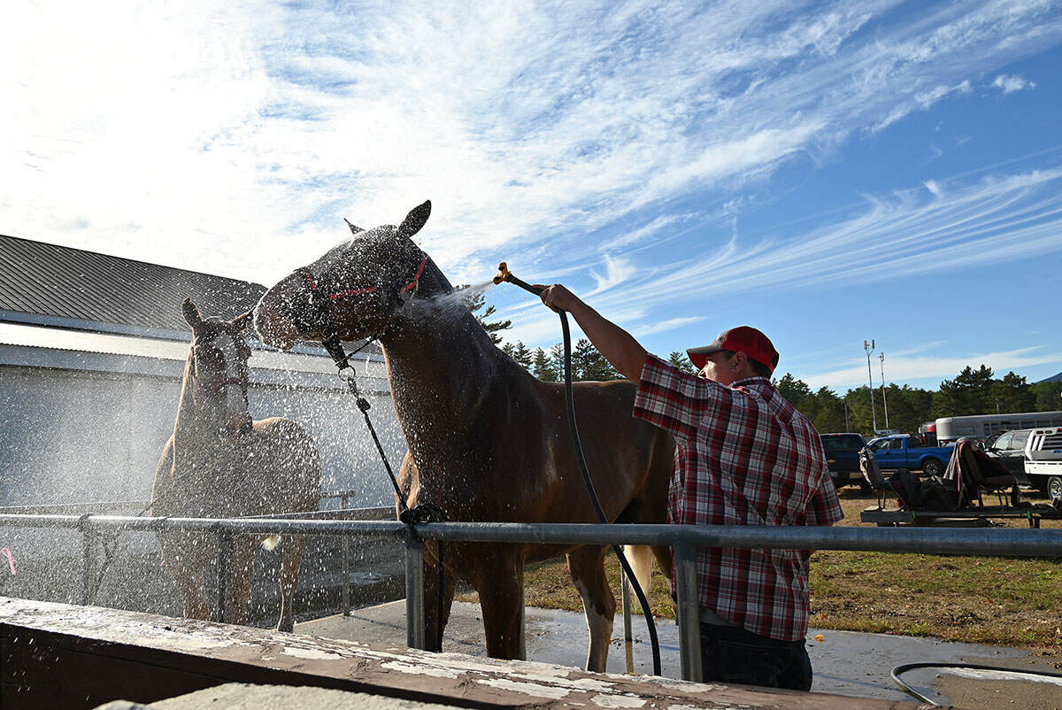 Draft horses take a bath at the Fryeburg Fair 2022; photo by Rachel Andrews Damon